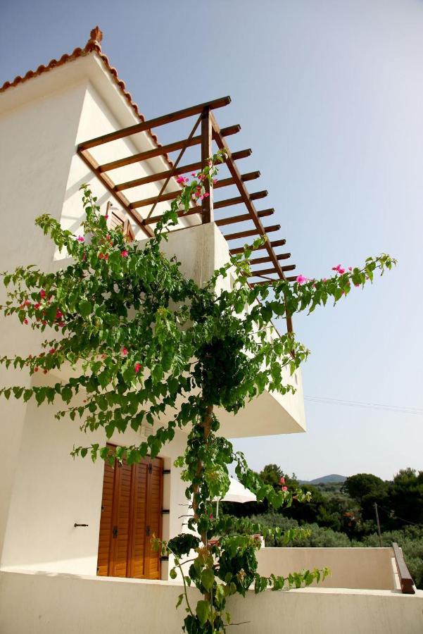 Skopelos Summer Homes Luaran gambar
